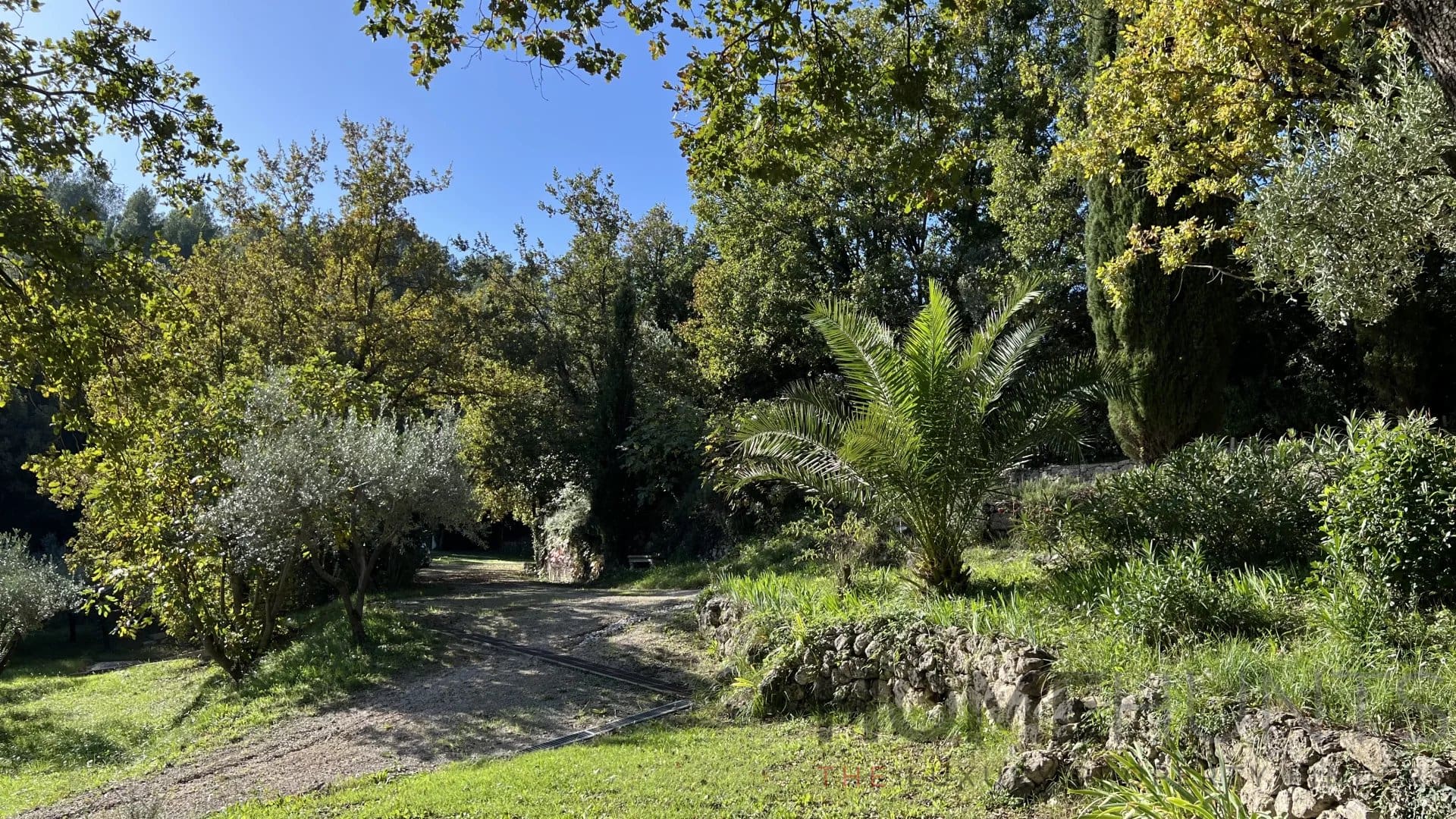 property_HH-16036488-3