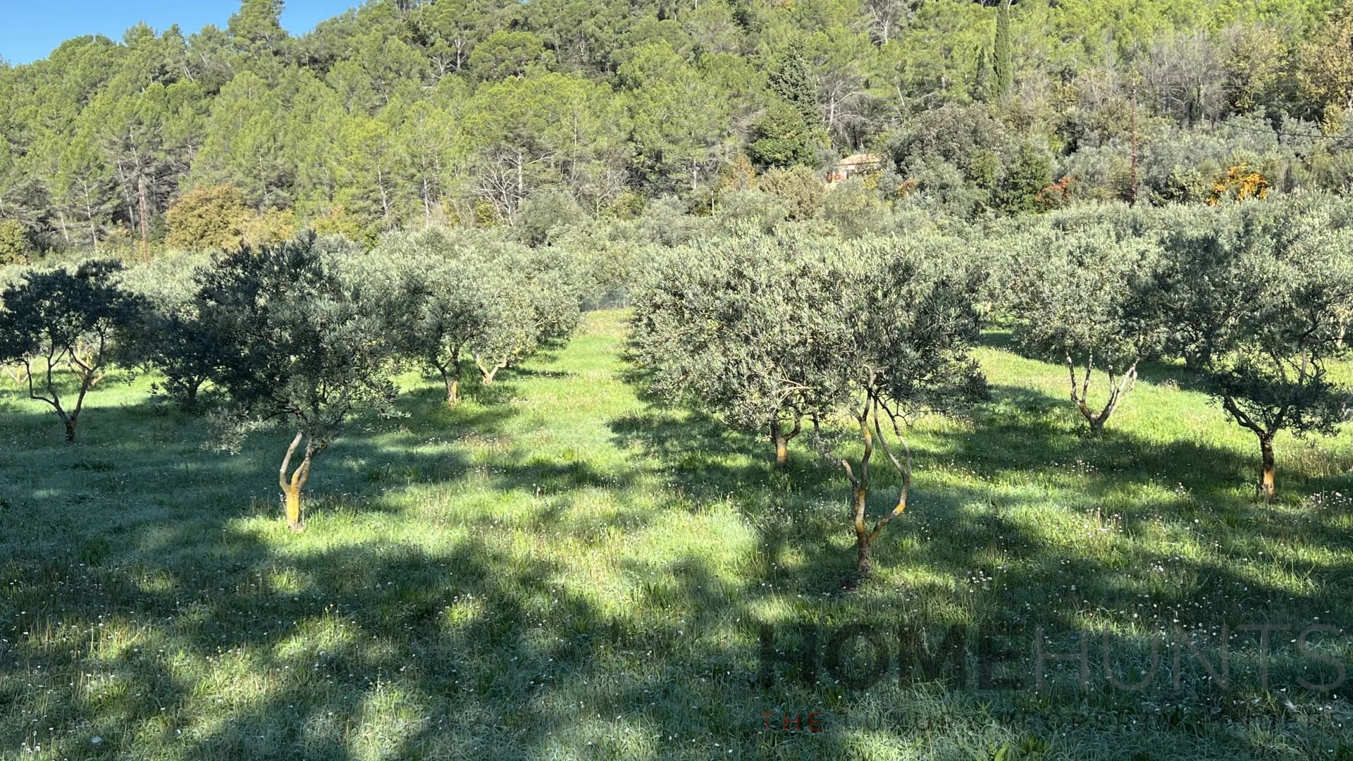 property_HH-16036488-9