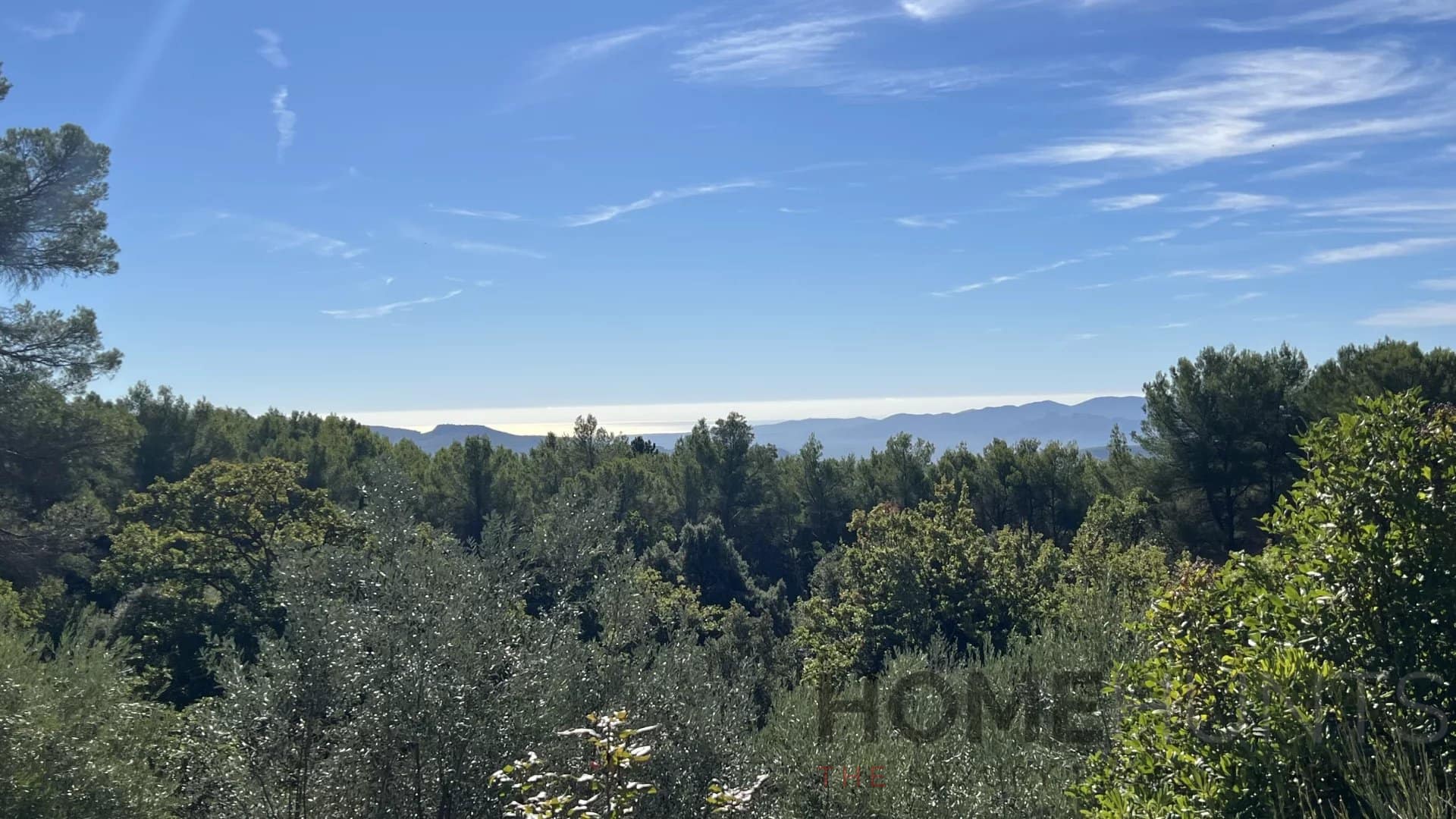 property_HH-16037594-2