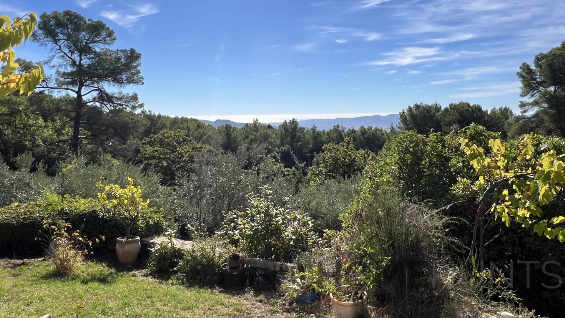 property_HH-16037594-28