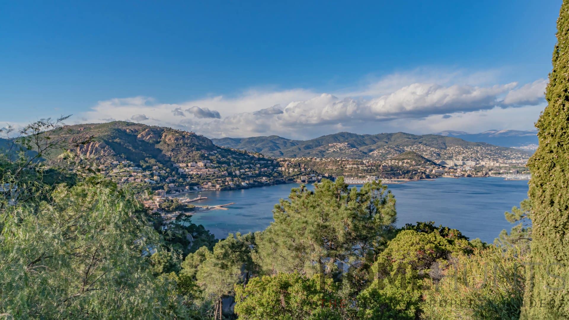 property_HH-16045861-5