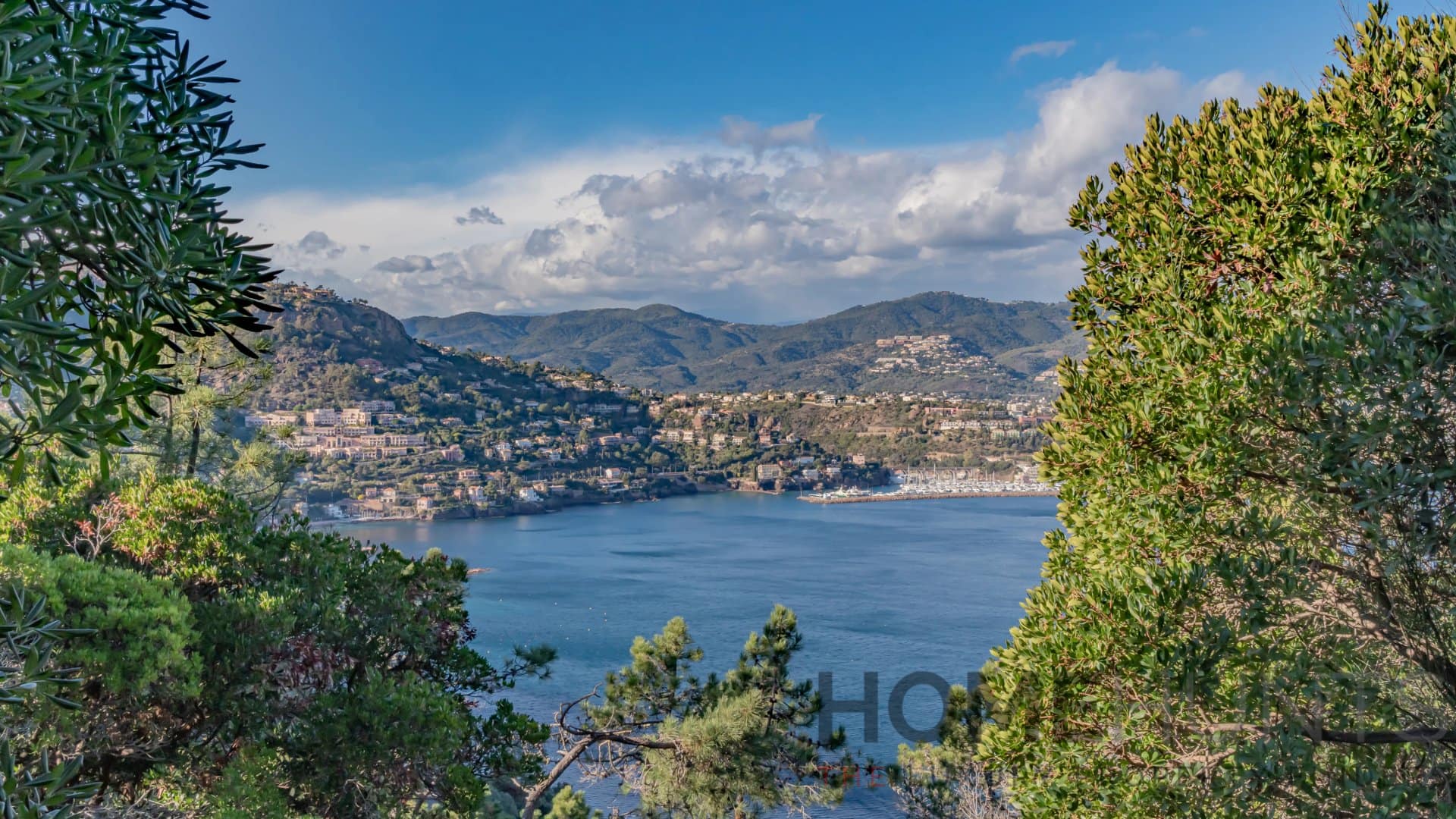 property_HH-16045861