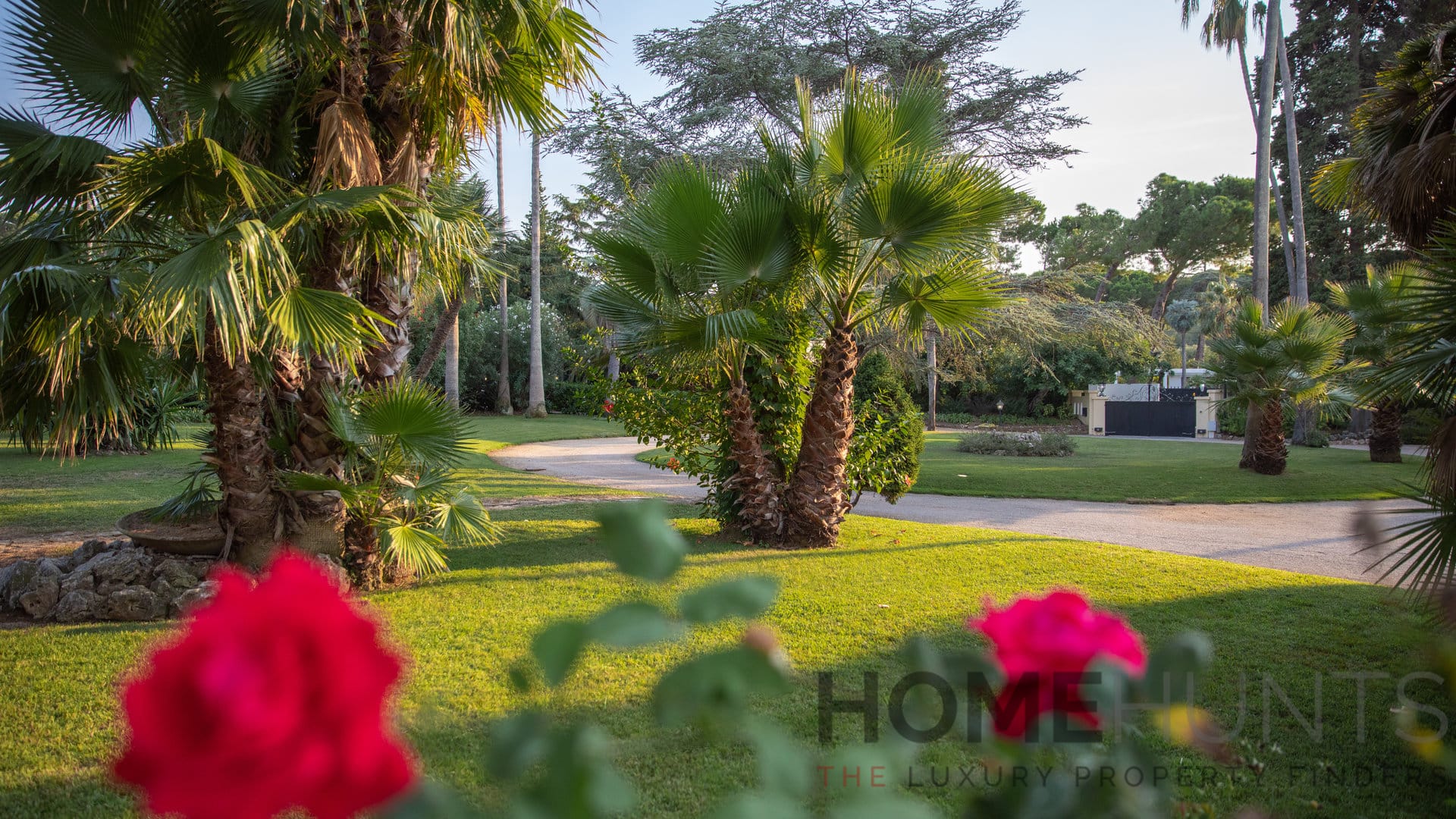 property_HH-13800397-11