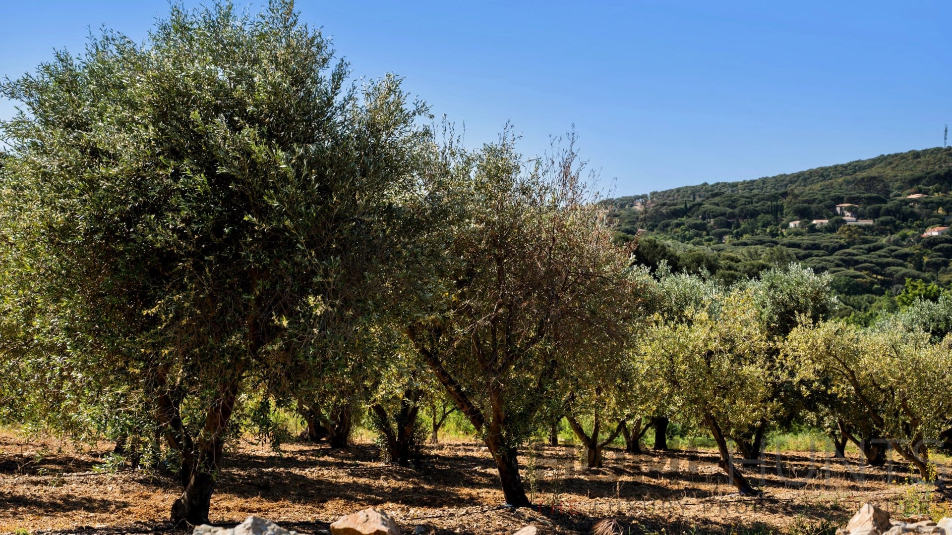 property_HH-16185032-8