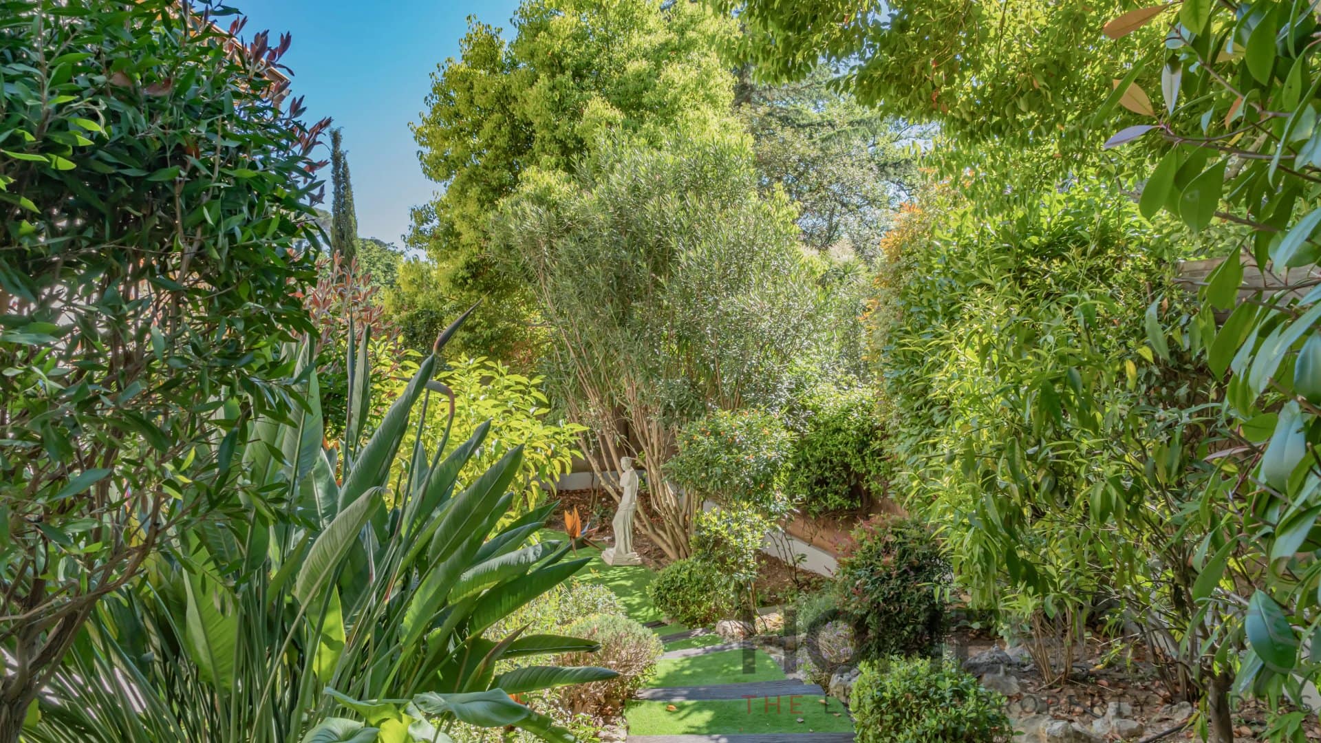 property_HH-16177755-12