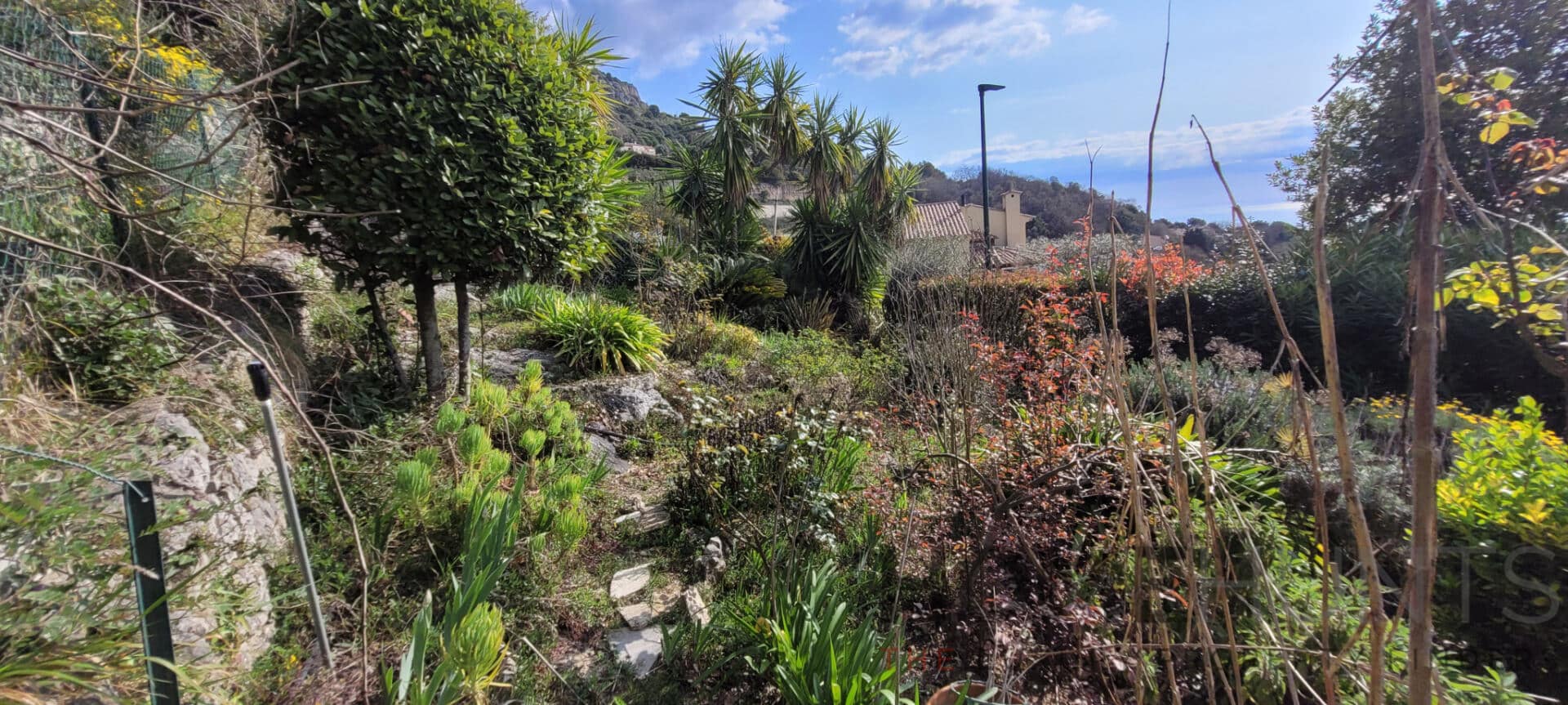 property_HH-15744467-23