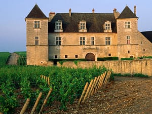 Vineyard, France Meet the Luxury property finders 3