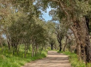 property_HH-16148912-18