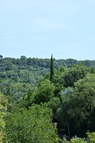 property_HH-15439929-19