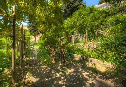 property_HH-16052655-9