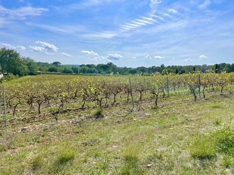 property_HH-15575396-29