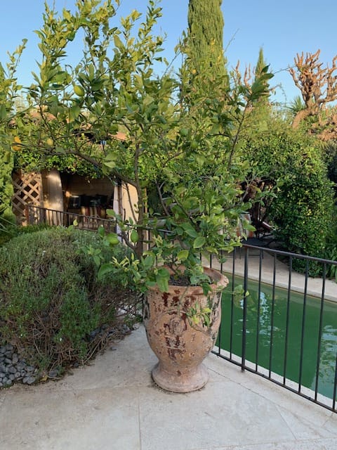 property_HH-15600011-4