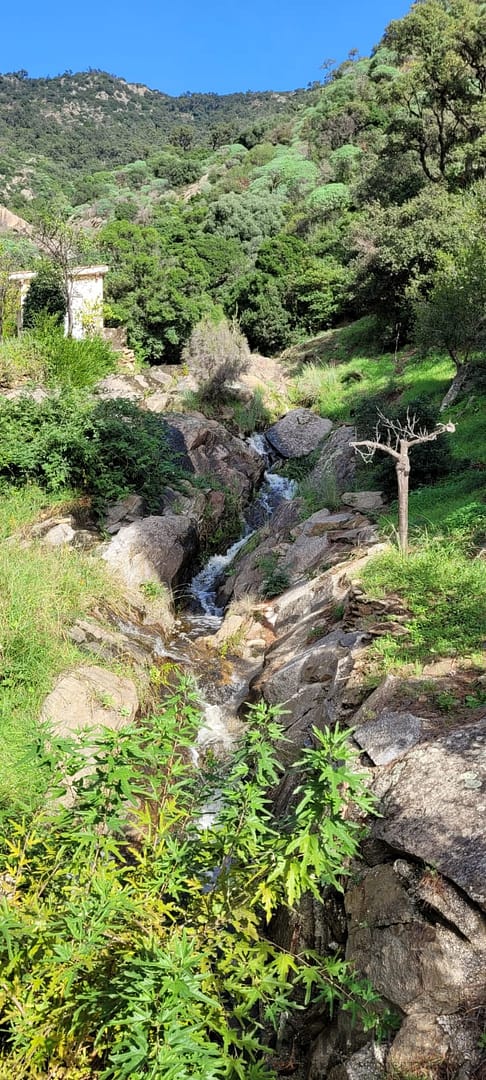 property_HH-15571550-10