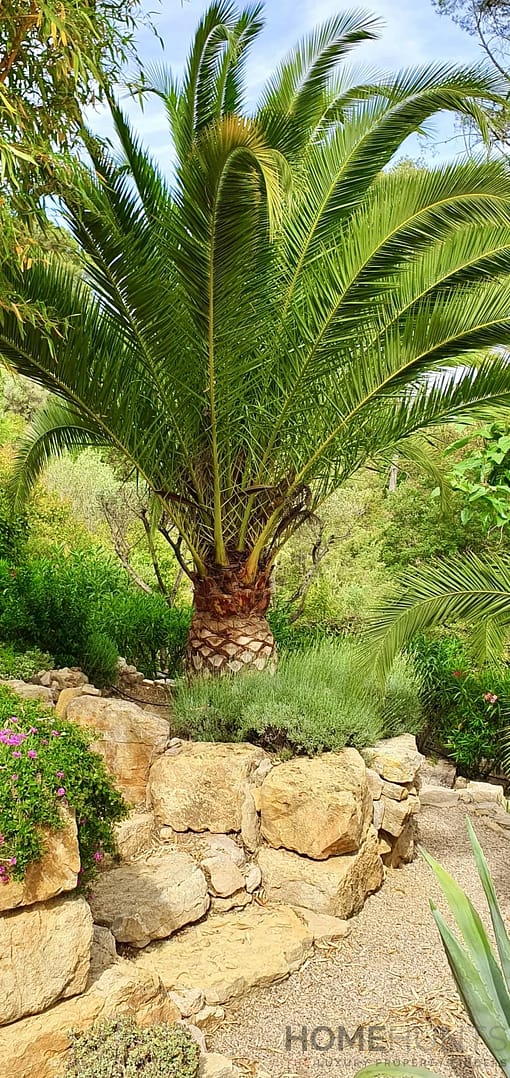 property_HH-14536567-27