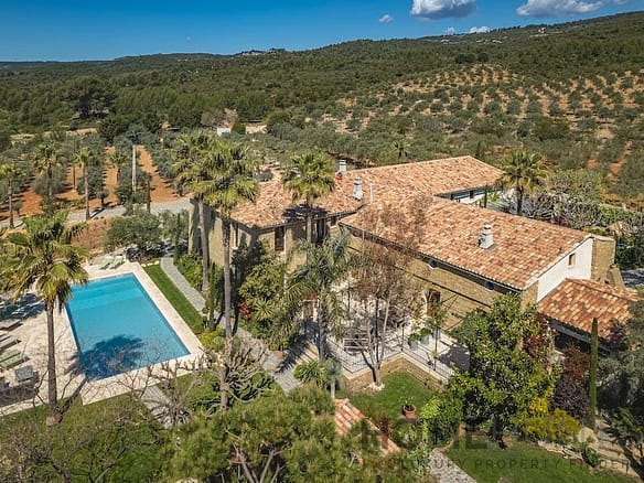Vineyard in Bandol 2