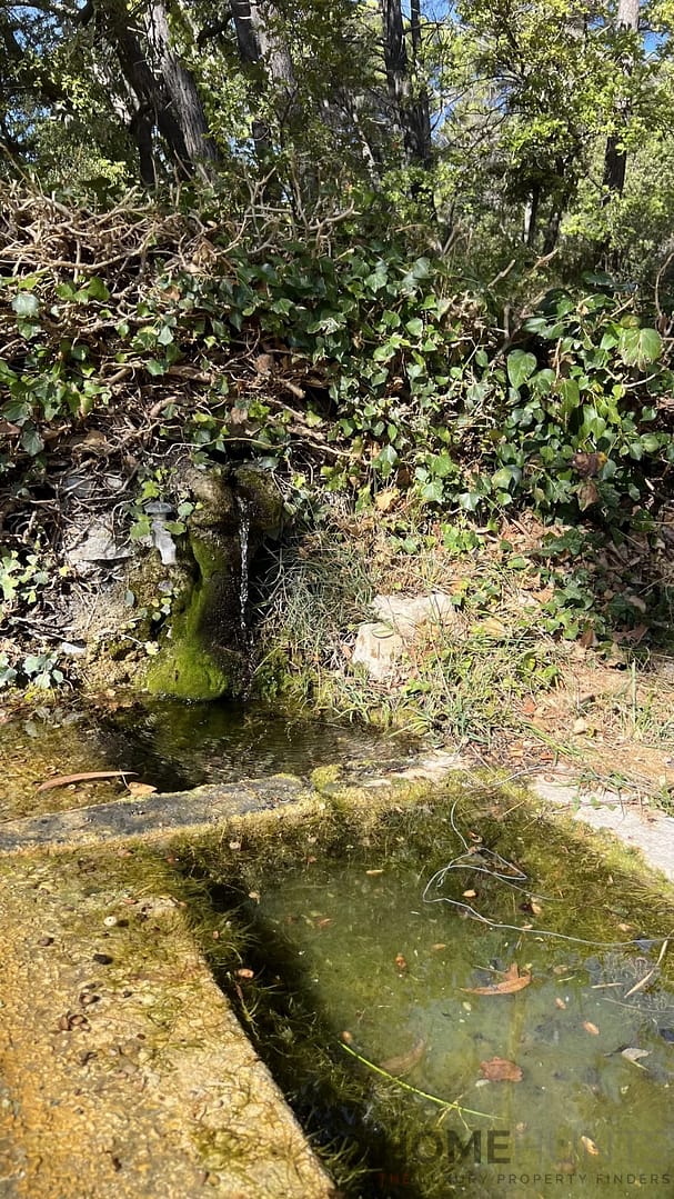 property_HH-16037594-29