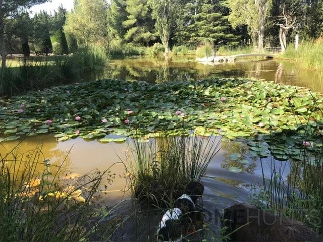 property_HH-15588887-4