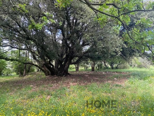 property_HH-15771170-18