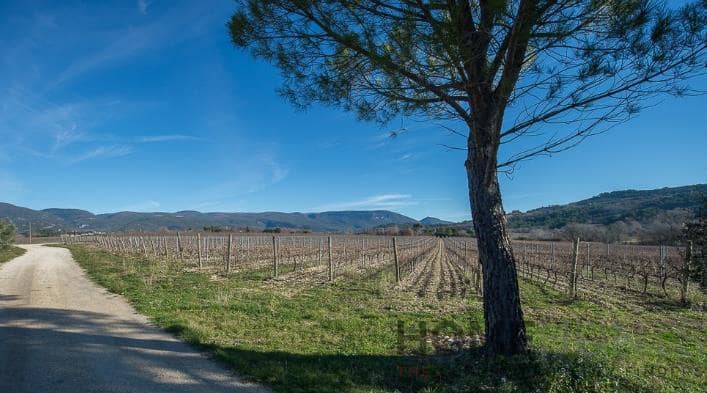 property_HH-13604630-10