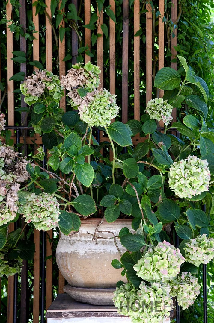 property_HH-15941795-13