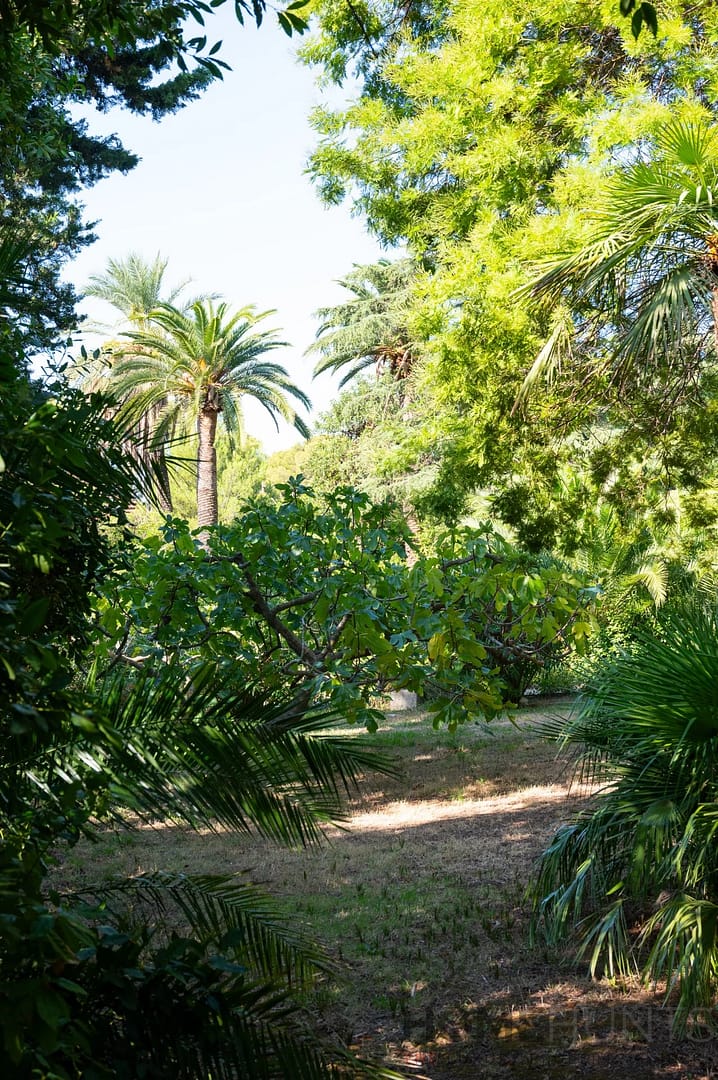 property_HH-15939554-5