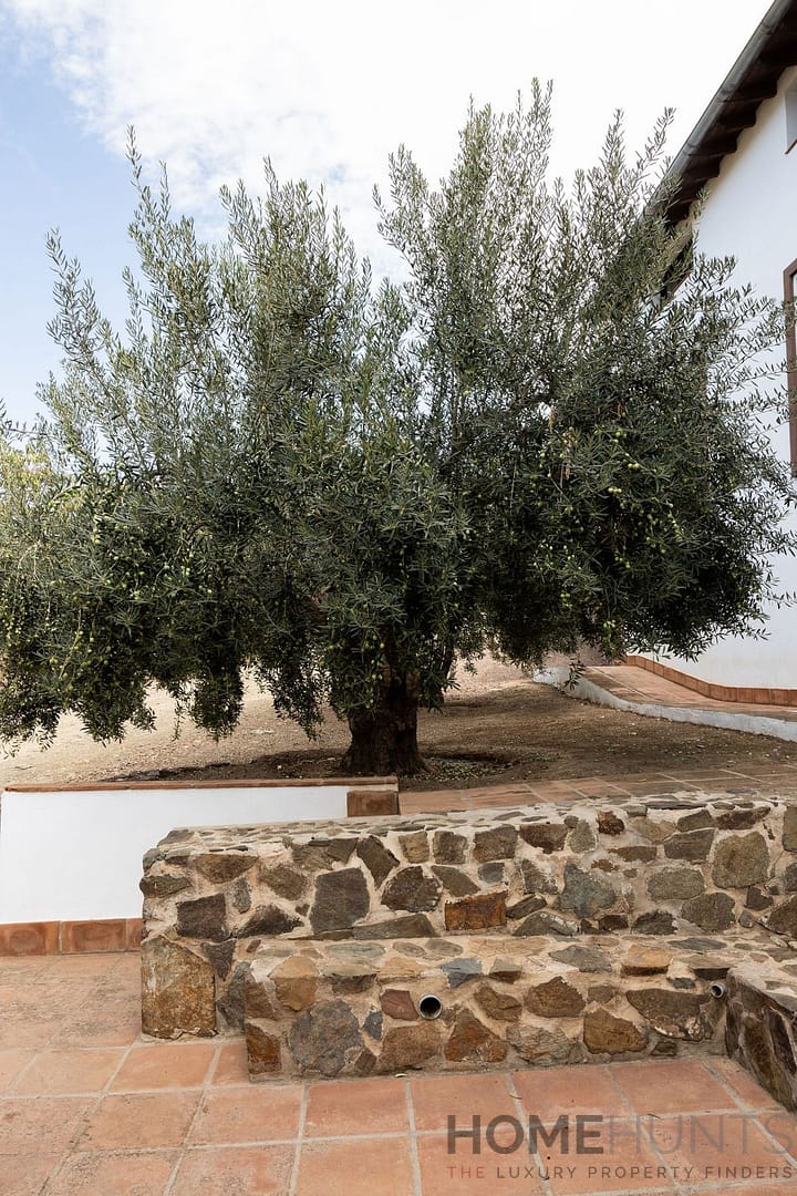 property_HH-15971317-30