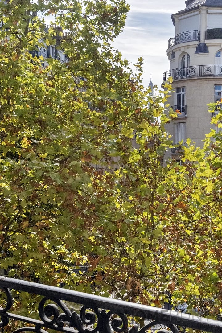 property_HH-15918838-23