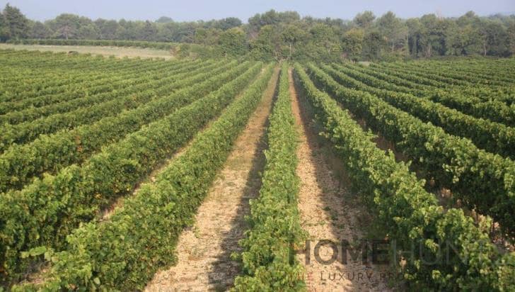 property_HH-14062592-10