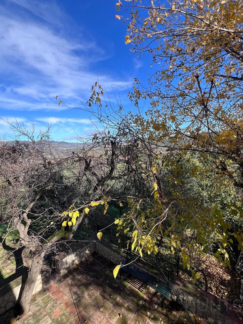 property_HH-15691908-27