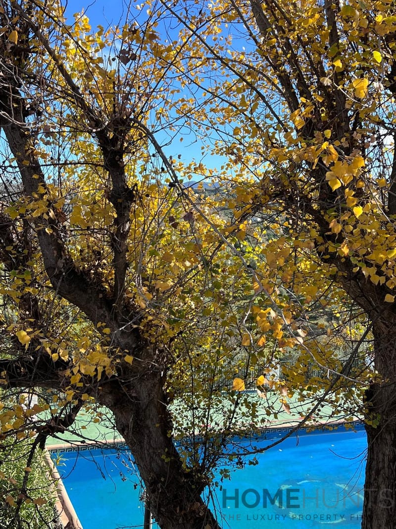 property_HH-15691908-28