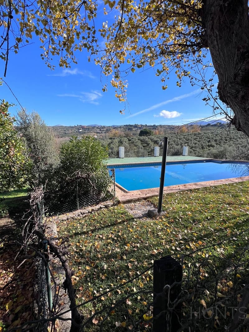 property_HH-15691908-29