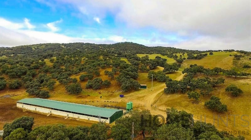 property_HH-15640904-15