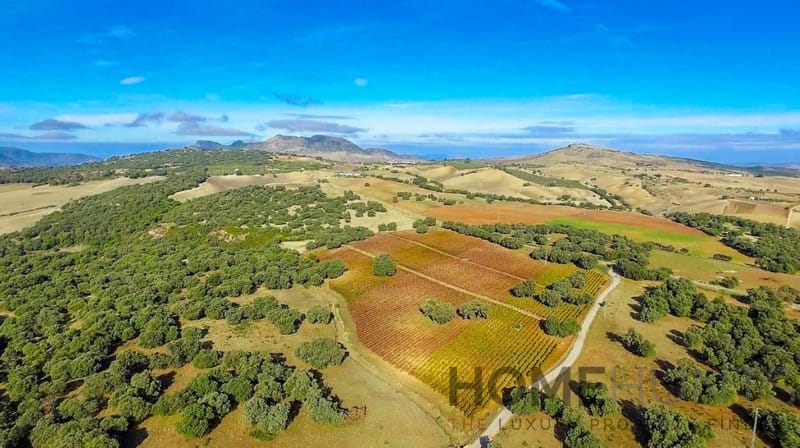 property_HH-15640904-11