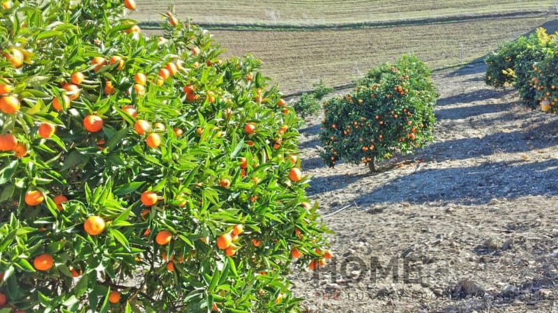 property_HH-15641200-13