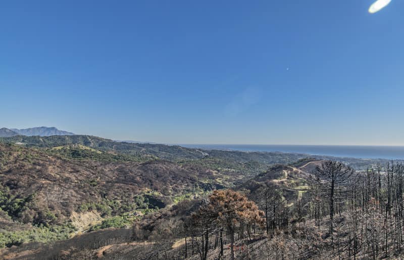 property_HH-15643185-3