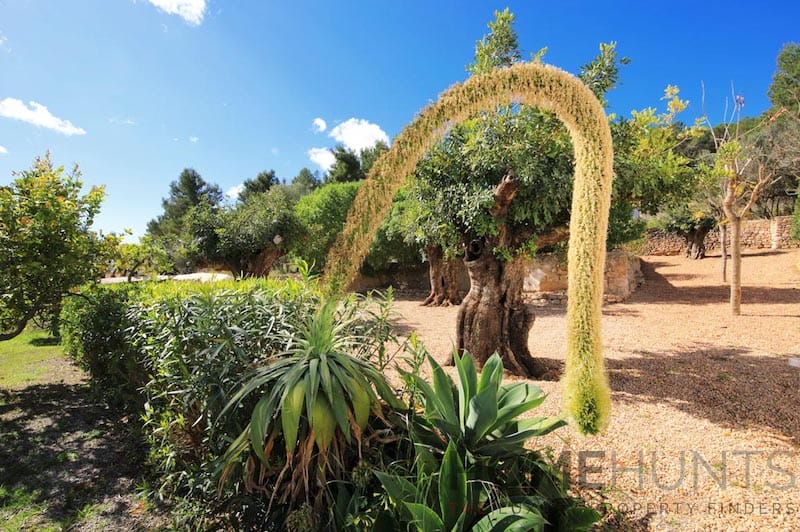 property_HH-15190145-23