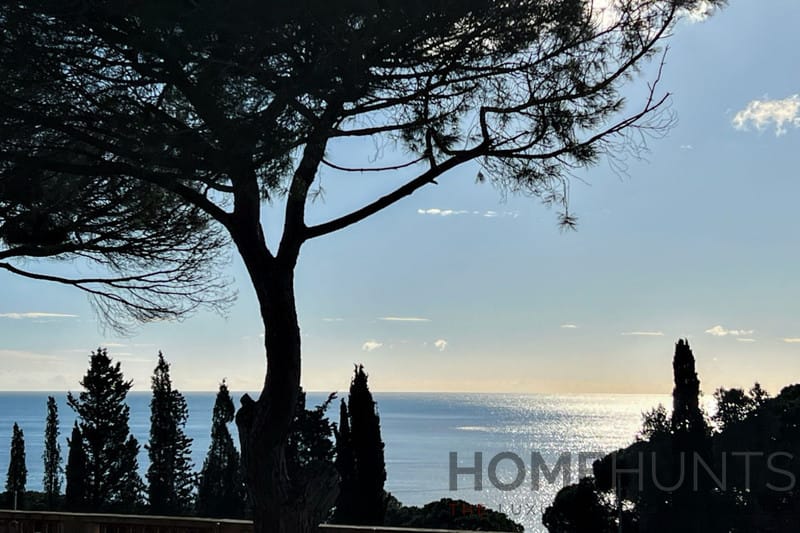 property_HH-15202009-6