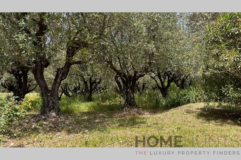 property_HH-15439777-6