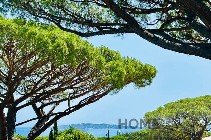 property_HH-15823579-2