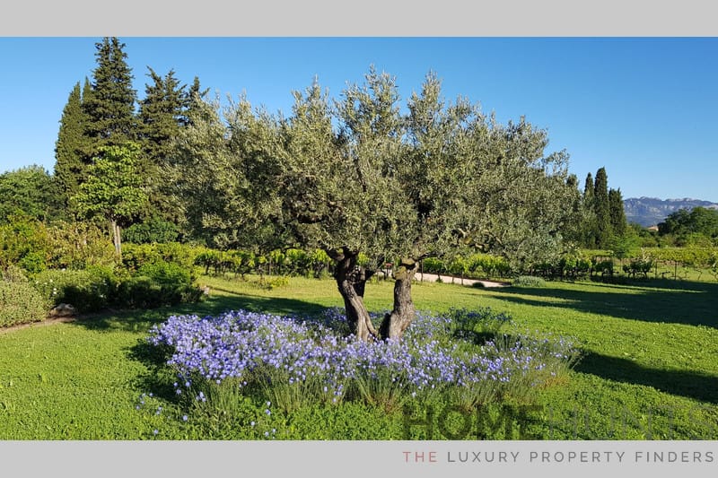 property_HH-15590465-4