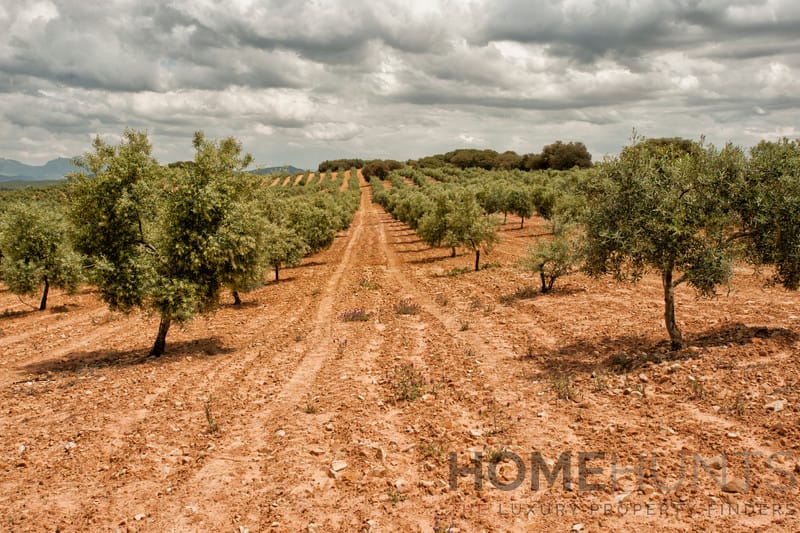 property_HH-15642190-4