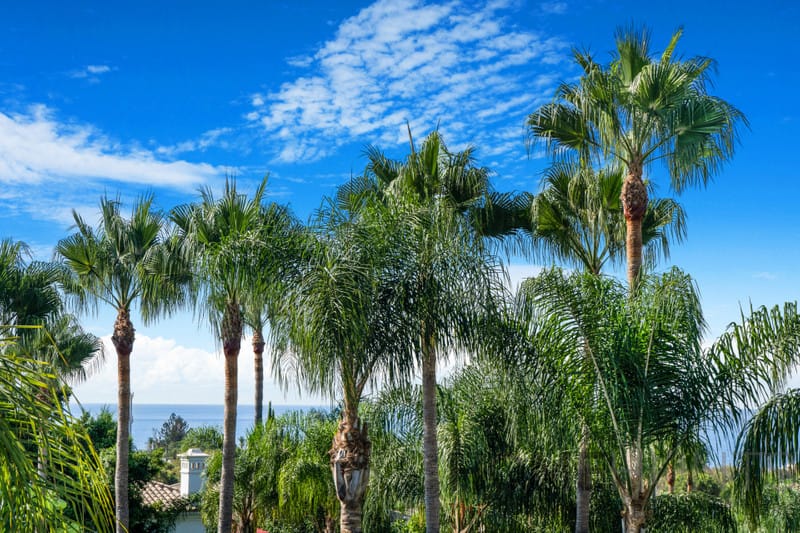 property_HH-15642973-7