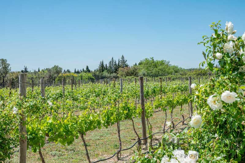 property_HH-14973067-9