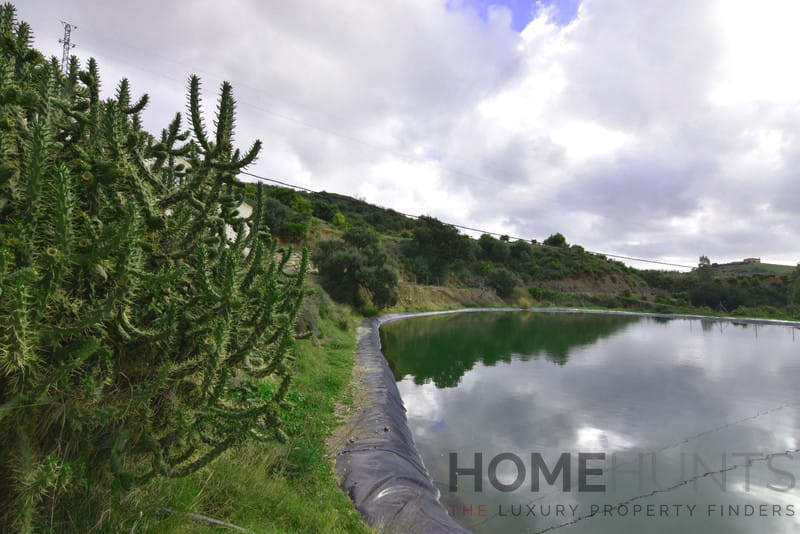 property_HH-15641823-5