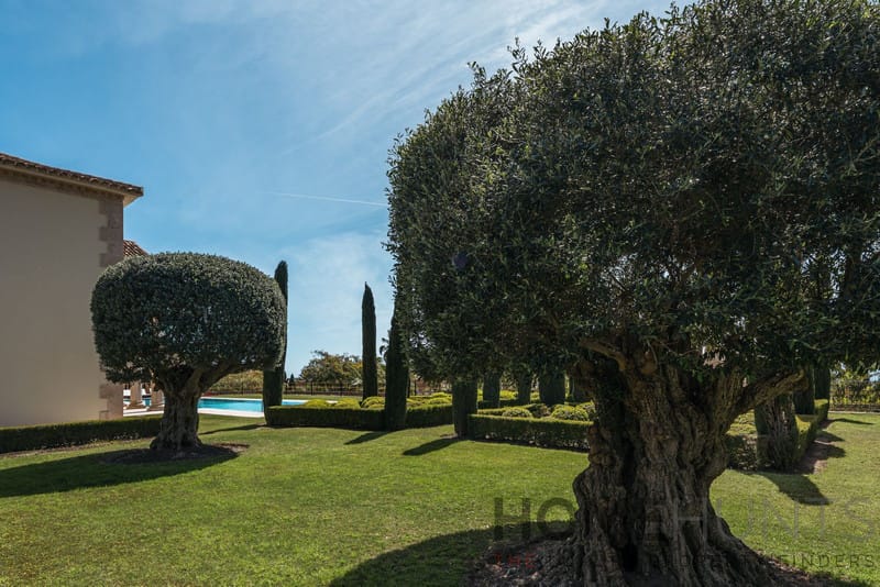 property_HH-15761903-12