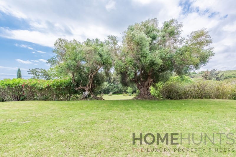 property_HH-15955267-15