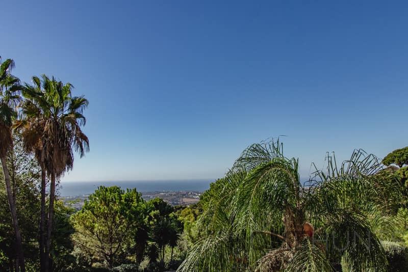 property_HH-15968817-13