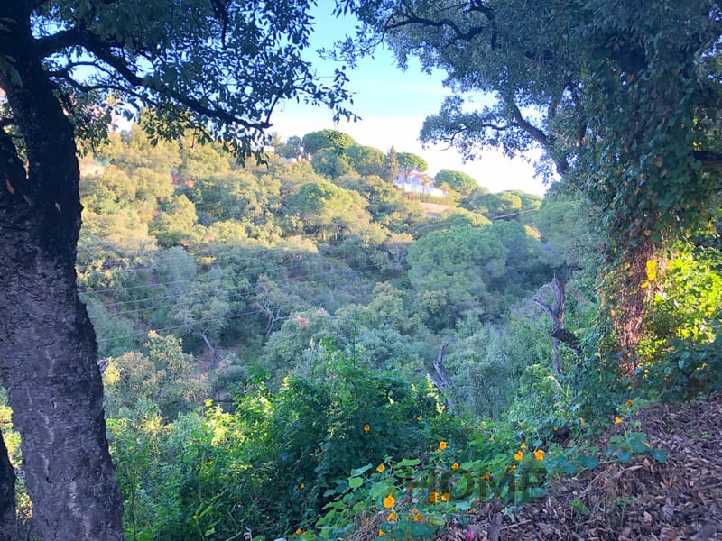 property_HH-15641038-7