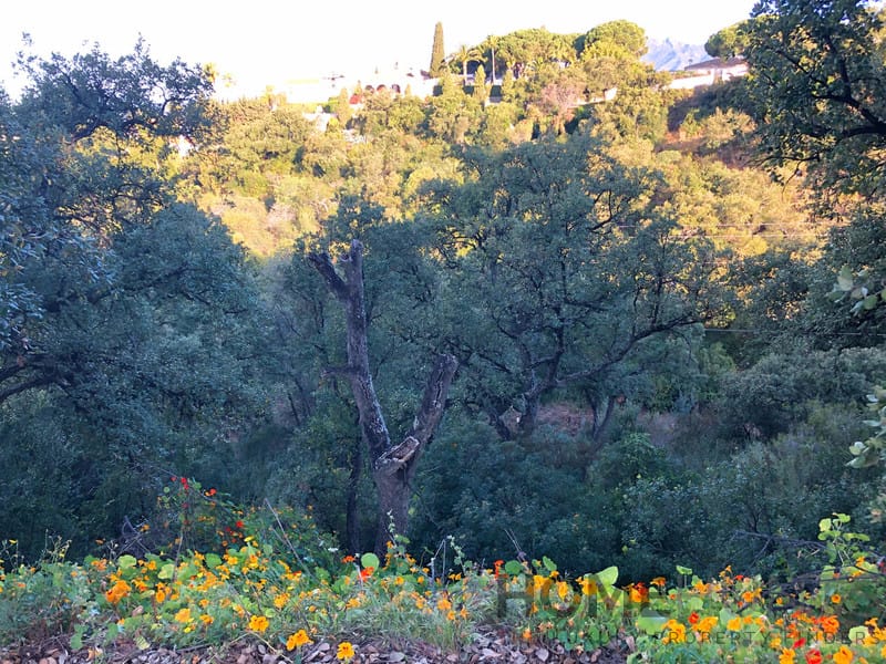 property_HH-15641038-8