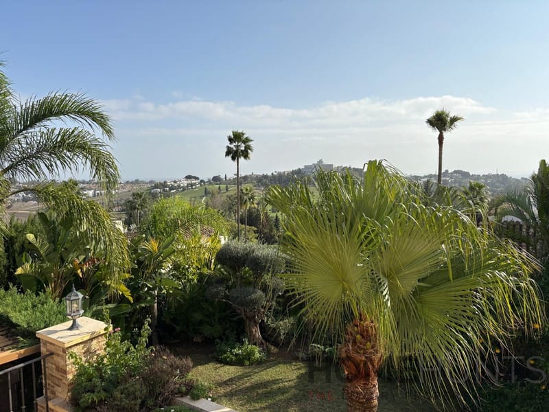 property_HH-15641267-10